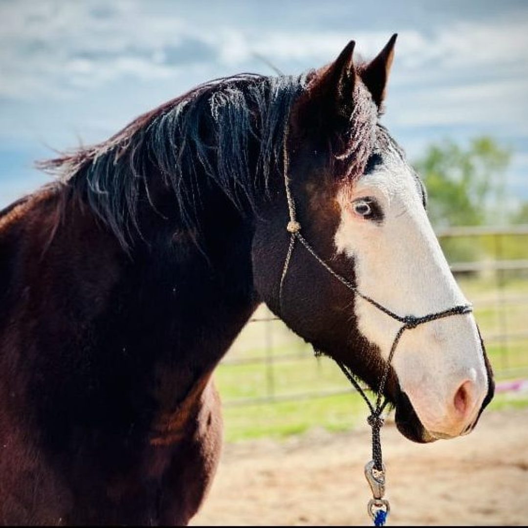 WhatsApp Image 2025-04-26 at 10.04.38_4ecdc319